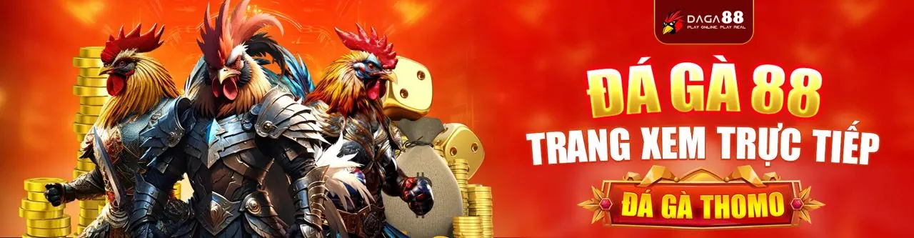 Hình ảnh đấu gà trực tuyến kịch tính tại alo8